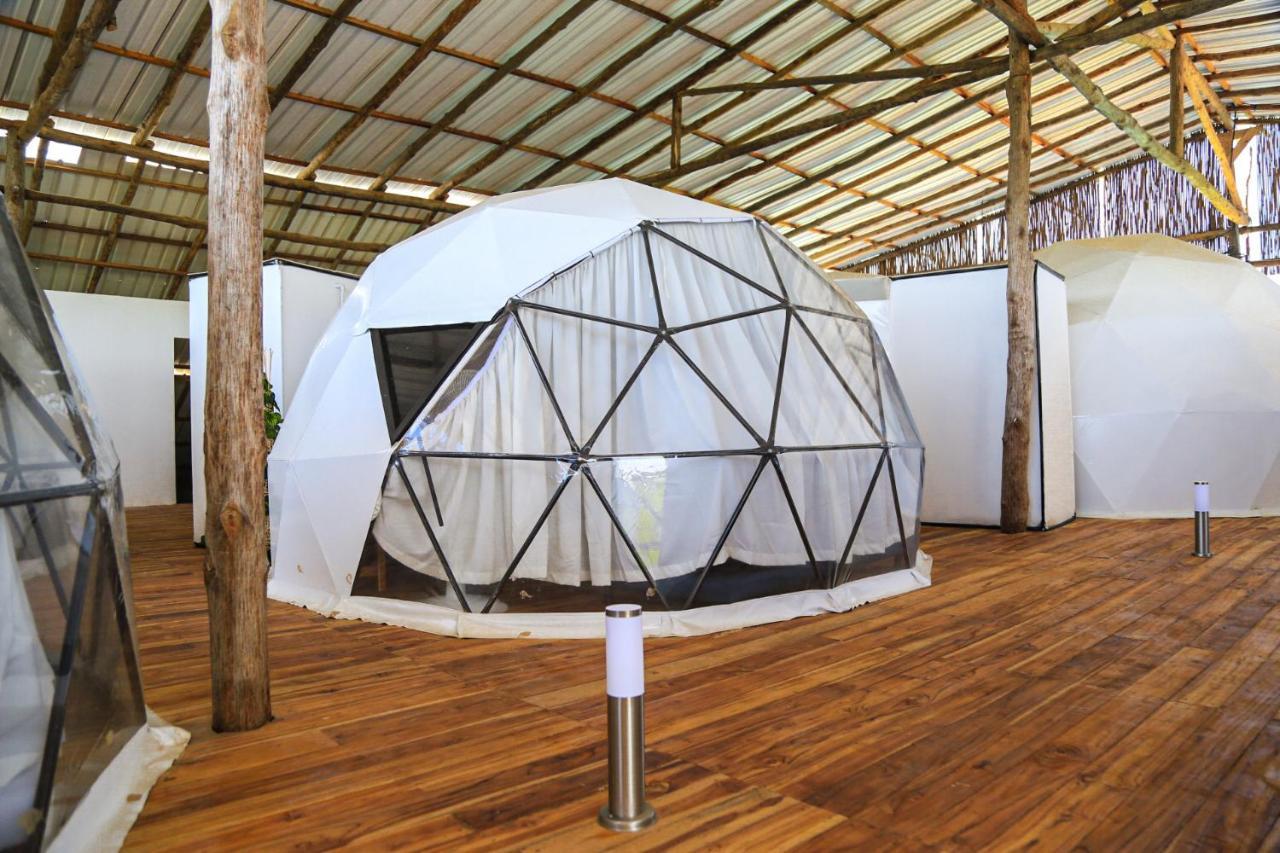 La Cabana Glamping Geronimo 플라야 블랑카 외부 사진